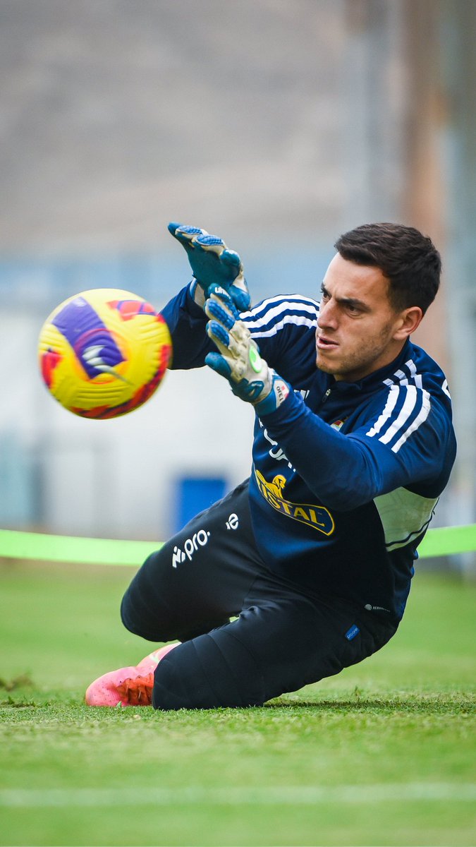 Club Sporting Cristal tweet media