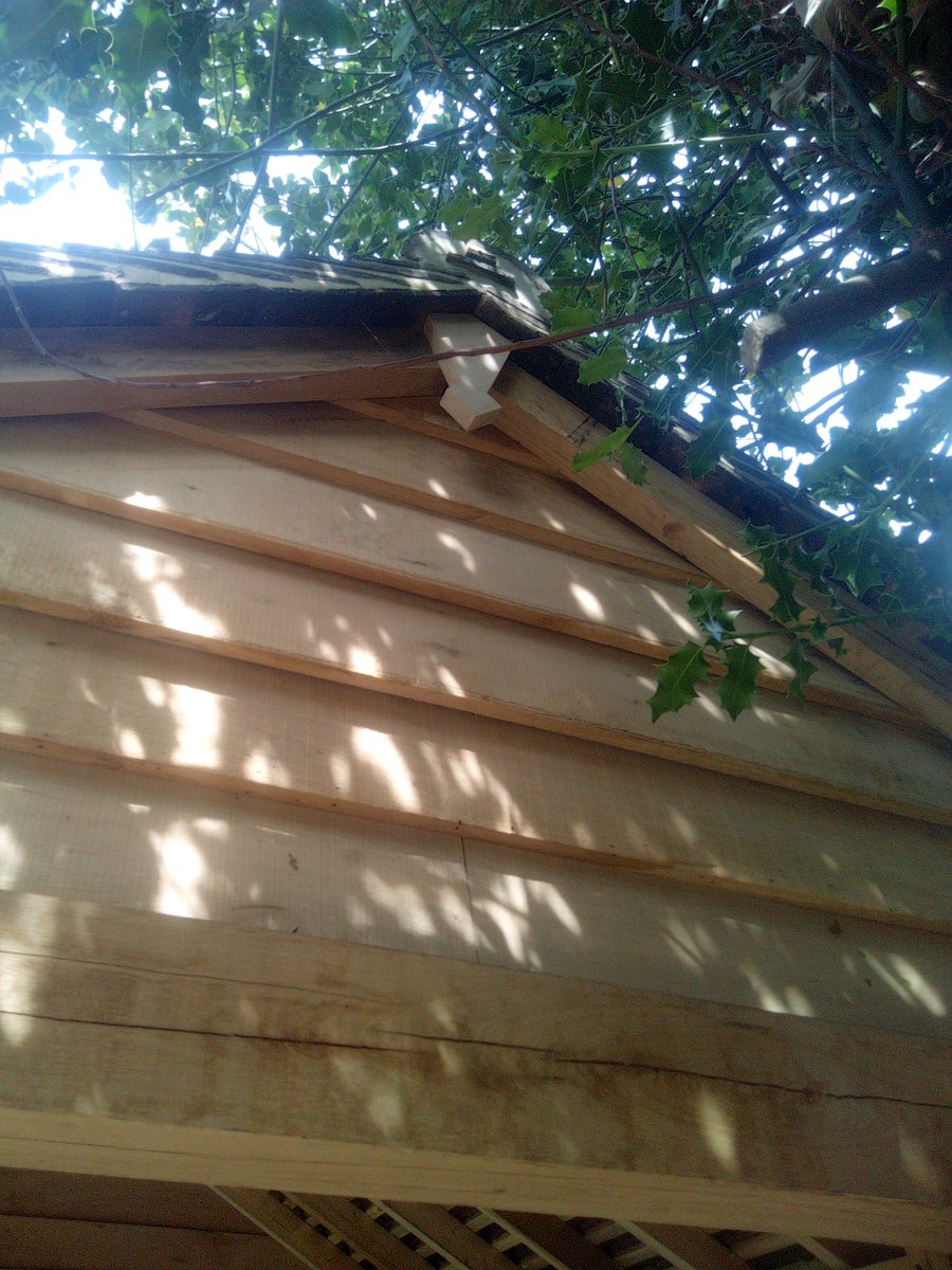 HaydenCarpentry's tweet photo. https://t.co/NdPZZu13ny