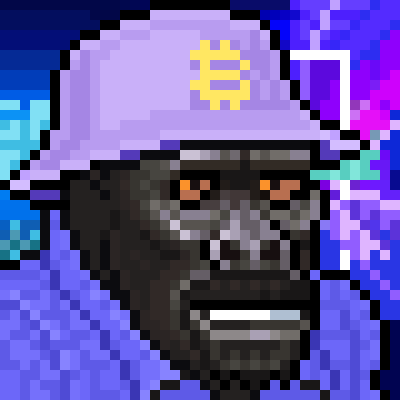 yipster 🔥 tweet media