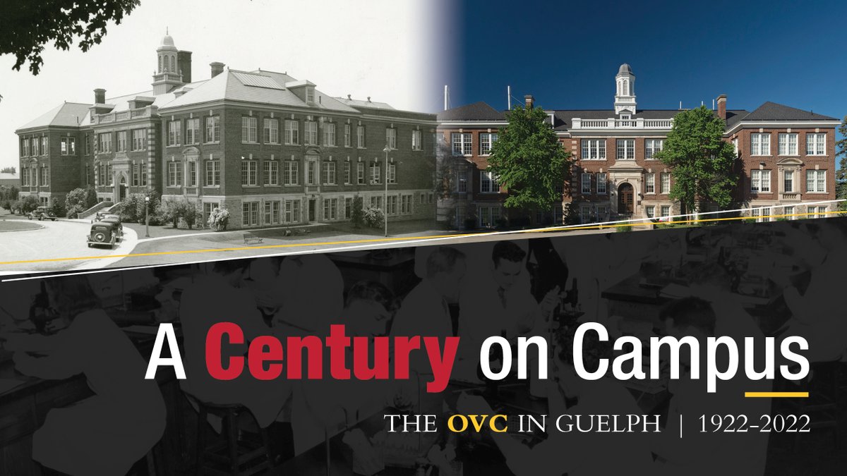 Ever wonder what life was like for students 100 years ago? Check out “A Century on Campus: The OVC in Guelph, 1922 – 2022', where you’ll get a glimpse into the OVC student experience over the last century. Learn more: lib.uoguelph.ca/news/new-exhib…
