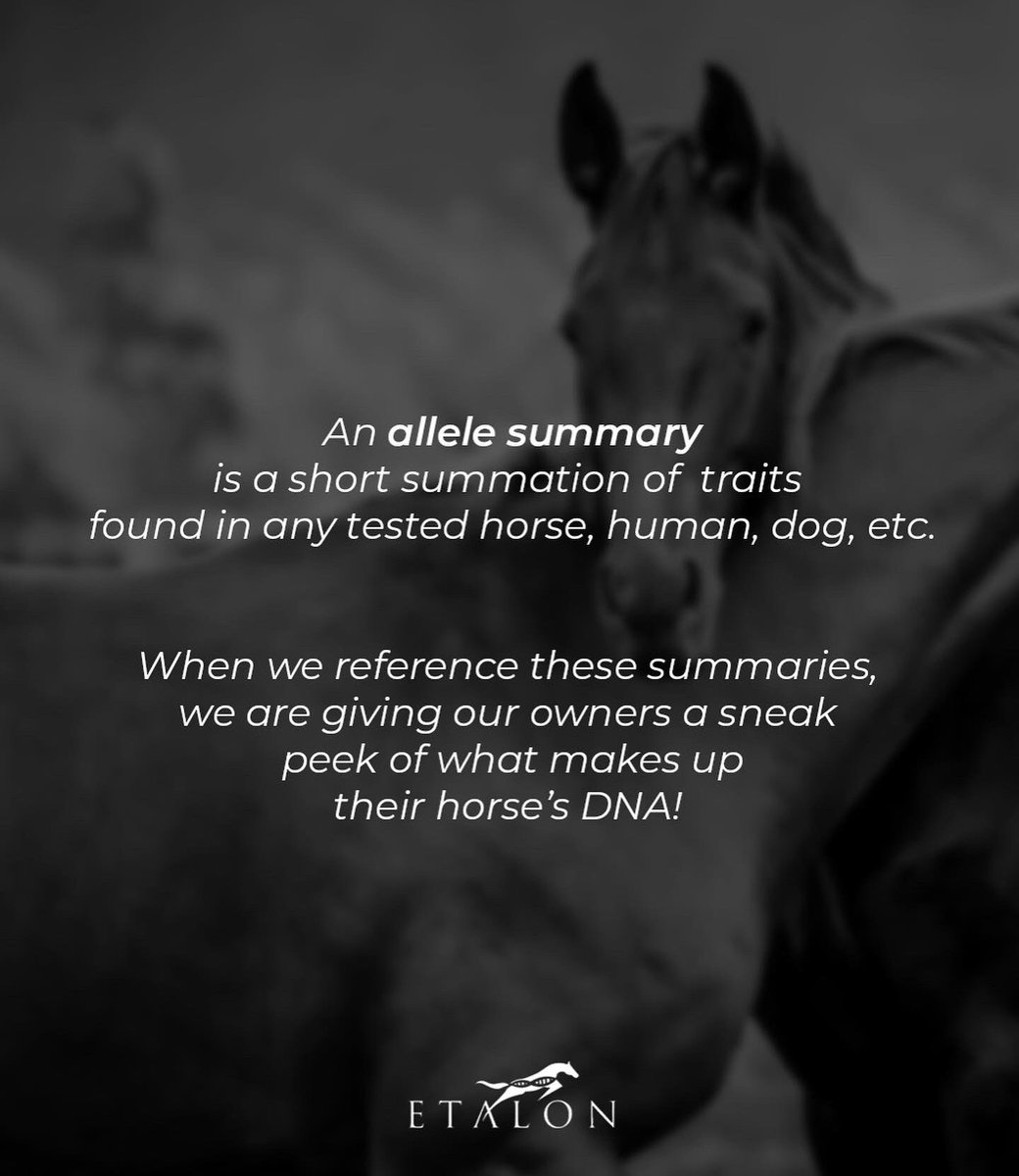 Get your thinking caps on! 🤓
 We are doing a little education around allele summaries. You can find what all of these genes are on our test comparisons page of the website 🫶#genes #womeninstem #stem #horses #equinegenetics #equestrian 
etalondx.com