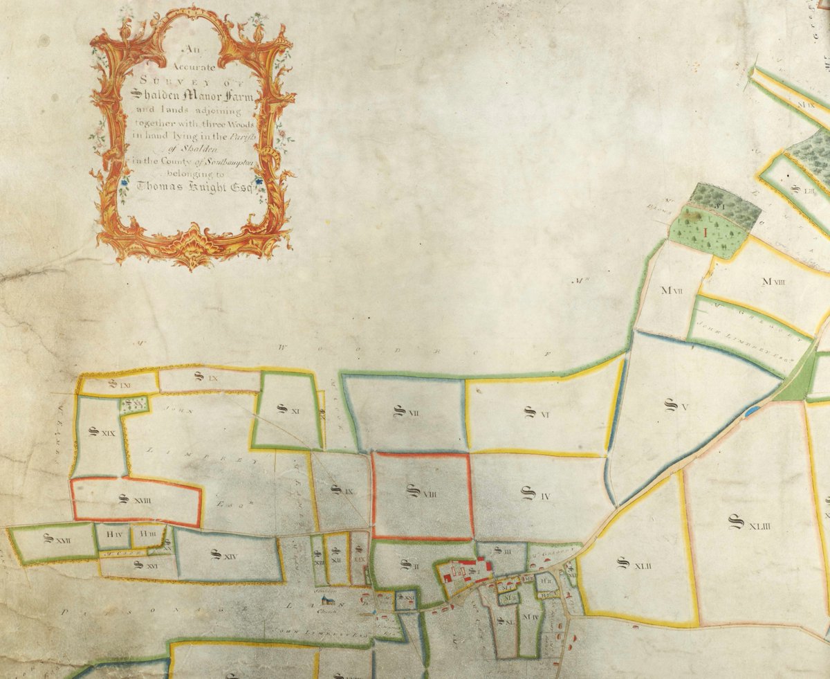 HantsArchives's tweet photo. A small collection of items relating to Shalden arrived in 1978. They included this beautiful map of Shalden Manor Farm and lands adjoining, 1769. It includes Shalden church and houses in the village shown in elevation (14M78/PZ2) #hampshirearchives #hro75years #ManorialDocuments https://t.co/IvmwxAnN9m