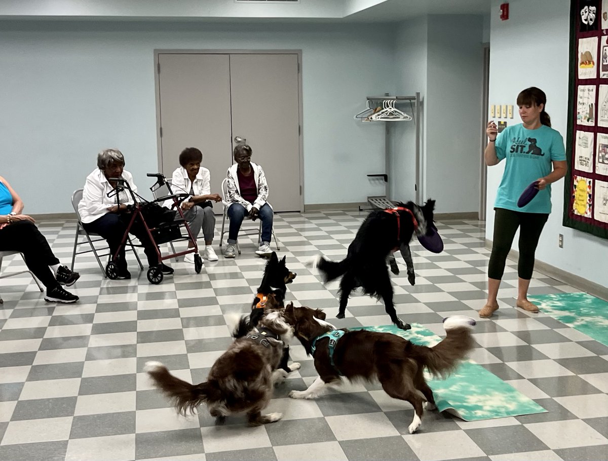 FriendlyHouseIa's tweet photo. Thank you Cara, from Heel.Sit in East Moline and Moline for visiting our senior program yesterday!  Our group really enjoyed interacting with your beautiful dogs! https://t.co/RxrdFAwbLx