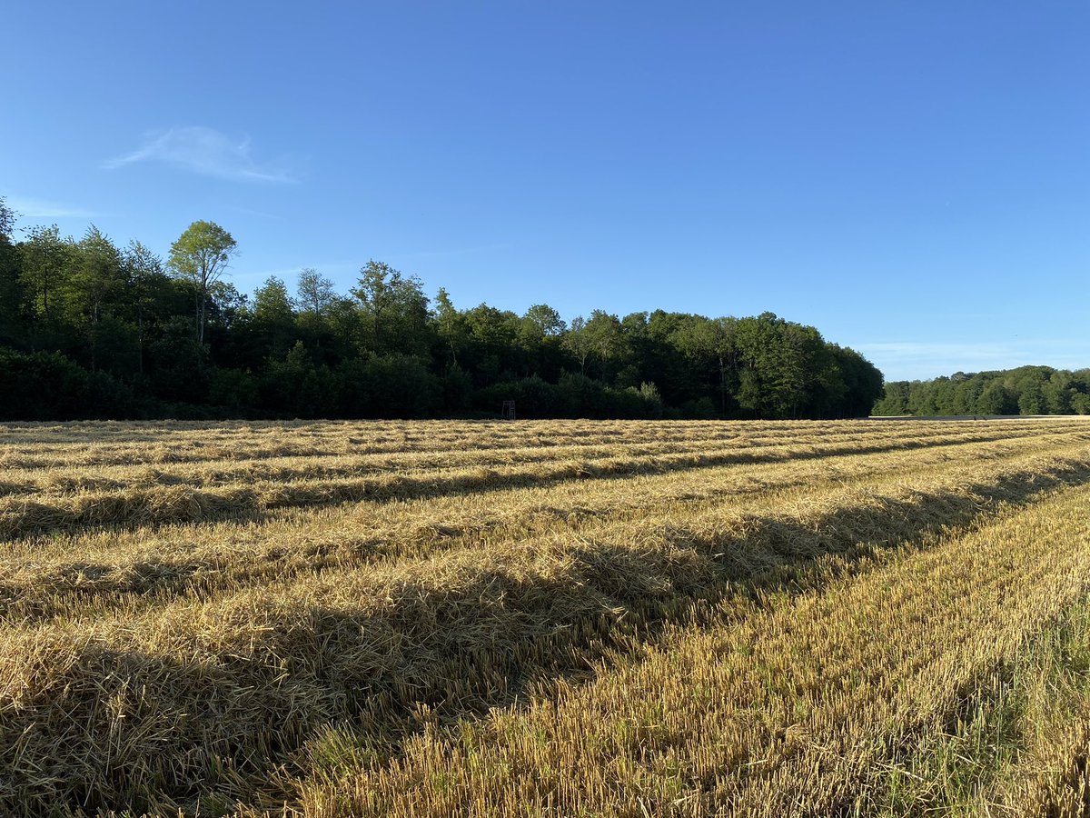 Loriette sebastien tweet media