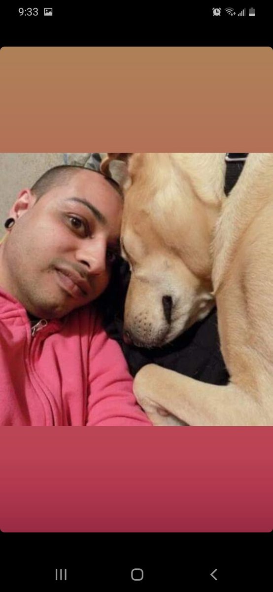 tyclarknj's tweet photo. My dog gives me hope. He was returned to the shelter twice before we got him. When we brought him home, he was super nice and we kept him.
He can't understand human problems and that makes me think they aren't as bad as I make them out to be.
#writreat https://t.co/wM2F3ZnnyF