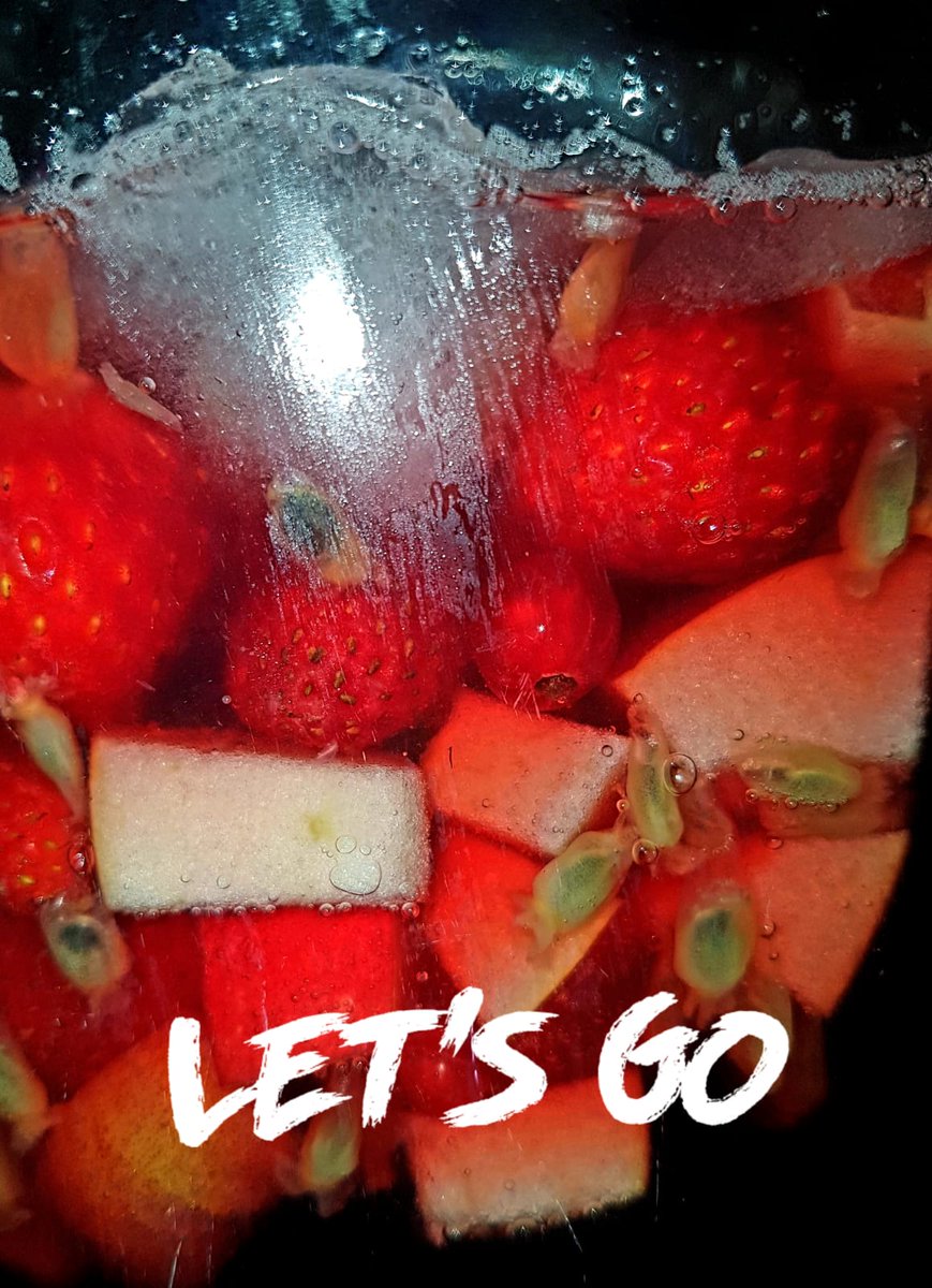 Obviously, the ☀️ is now also making an appearance in the north again and
mood 😃, temperatures 🥵 and thirst 🤗 are rising!

#fresh #freshfruit #fruitwater #infusion #summer #wild #icecube #ice #strawberries #hydration #infusedwater #healthylifestyle #refreshing #summervibes