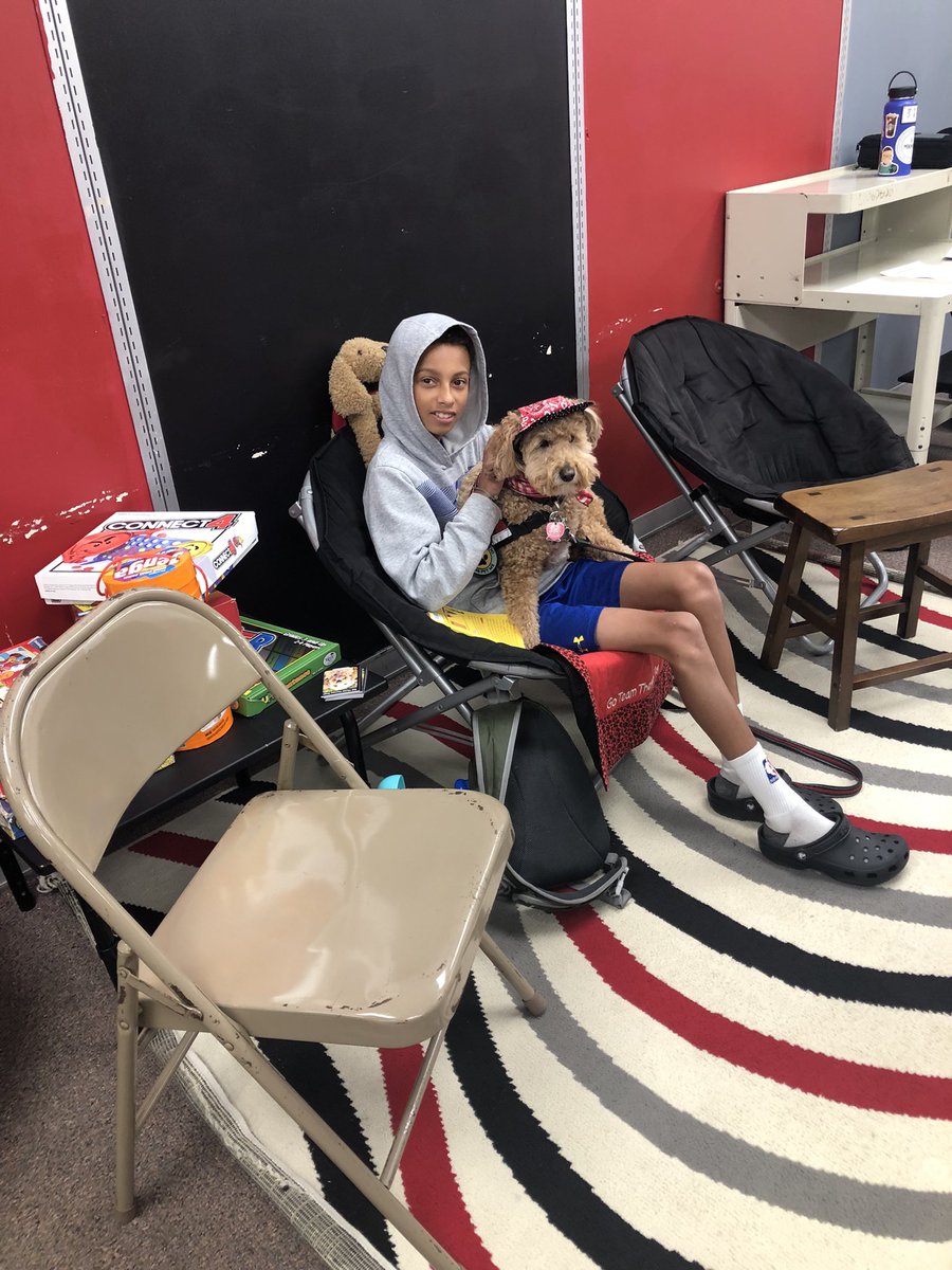 KellyWolfe5's tweet photo. NMMS students had special friends join us today.  How cute are these therapy dogs?? #fcpselevate @FCPSElevate @GoTeamTherapyD https://t.co/JjjYAvDh1q