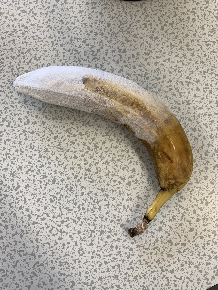 Watching the chemist’s freeze their lunch to demonstrate Chemistry in action at work today. However as a biologist I had unfortunately already eaten my banana as a snack… to demonstrate the human body in action of course…. #liquidnitrogenbananahammer #doesthejob
