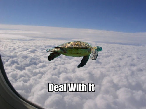 BeamentRay tweet picture