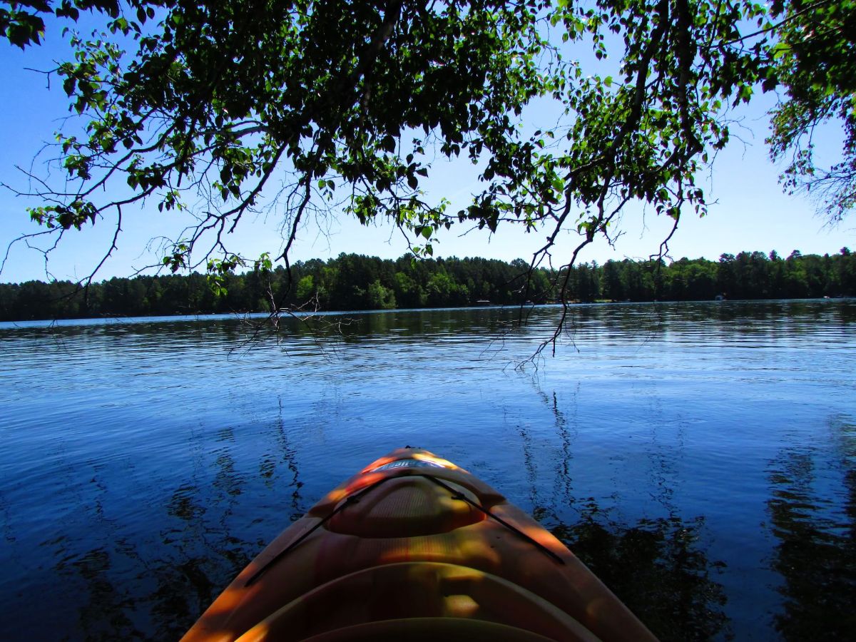 Summer Water Fun and the Best Accessories!!! - mailchi.mp/758850b9f1ed/s…
Check out my list of "must haves" for your outdoor water fun!

#waterfun, #wateraccessories #summerfun #4thofJuly #lifesramblingroad #lifestyleblogger