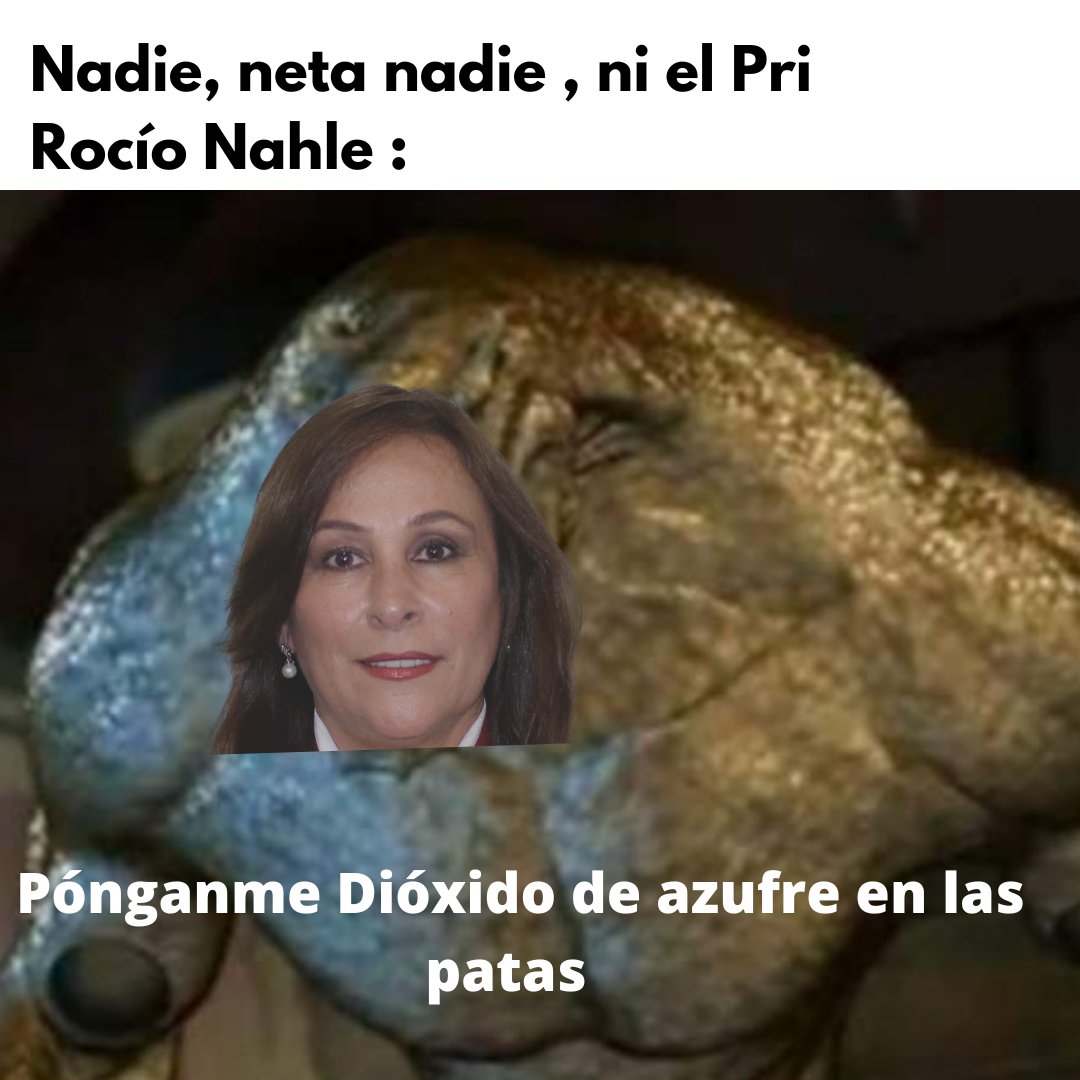 roxana_roxrox's tweet photo. #ARocioNohleimporta 
Hoy me desperté y pensé en mi futuro, en mis hijos; y con las obras de la señora  @rocionahle no se que mundo les vamos a dejar. 
Digan ¡NO! a la refinería en Tula 
Ojo aquí: 
@alitomorenoc

@diaz_manuel https://t.co/OU0zklJpmO