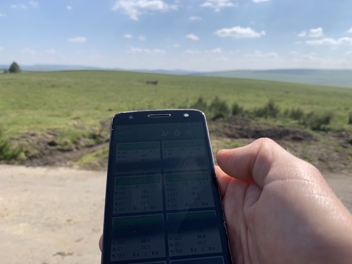 Ross Hemingway OBE tweet media