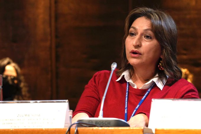 eclac_un's tweet photo. The 2020 round of censuses in #LAC takes on special importance for recovery policies after the health crisis, which affected the census calendar and entailed major challenges for measuring progress on the Development Agenda’s goals: @Sosa_Zulma1 CELADE-#ECLAC. https://t.co/57eUP3Zw1i