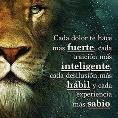 VERDAD tweet media