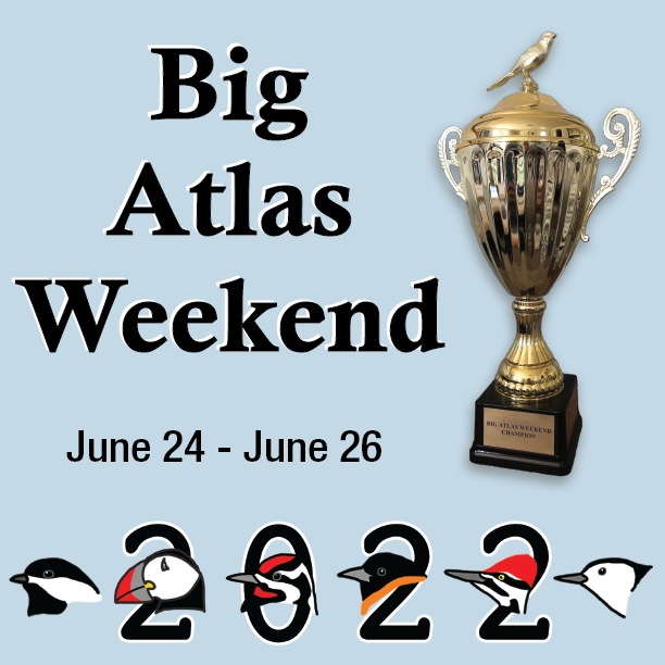 ncbirdatlas (@ncbirdatlas) on Twitter photo Thanks to all those who participated in the Big Atlas Weekend! Tune in tonight at 6p to hear which Atlas won the coveted Canary Cup!
Register here: bit.ly/3OR8AxT
#peoplecountbirdscount
<a href="/AudubonNC/">Audubon North Carolina</a>
<a href="/NCWildlife/">N.C. Wildlife</a> Thanks to all those who participated in the Big Atlas Weekend! Tune in tonight at 6p to hear which Atlas won the coveted Canary Cup!
Register here: bit.ly/3OR8AxT
#peoplecountbirdscount
<a href="/AudubonNC/">Audubon North Carolina</a>
<a href="/NCWildlife/">N.C. Wildlife</a>