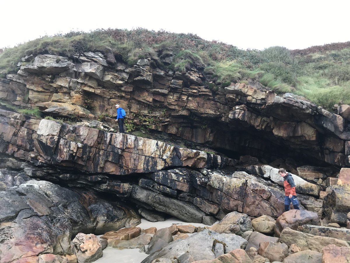 willmcmahon92's tweet photo. New work online considering plant and animal influences within a Carboniferous estuary. Great time working on this one with friends from @UU_PhysGeog and @EEIatHull. Part of a thematic issue in @PALAIOS_Journal on deep time biogeomorphology.
https://t.co/2RB3EMORzR https://t.co/KOETtauuBA