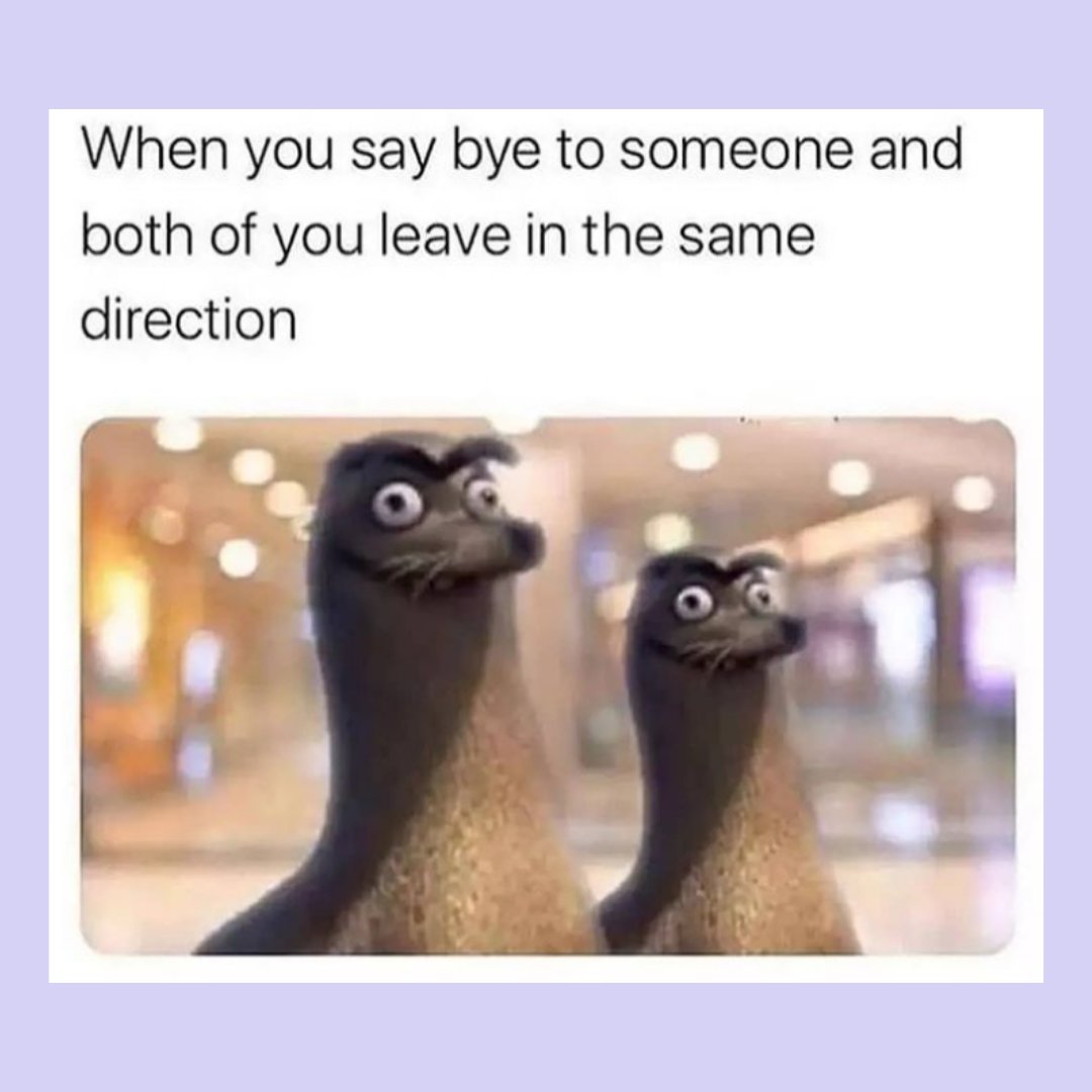 Oof, this is awkward... do we pretend not to see each other or do we start up a new conversation that we won't be able to finish?? I'd rather disappear, thx 😭