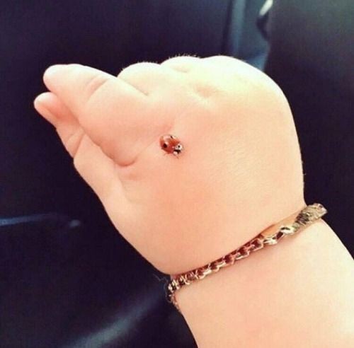 vilp91's tweet photo. 🔺

لا غيبِّ الله عن قلوبنا الراحة والسِّعةꦿ❤️
. https://t.co/wseznRFDCX