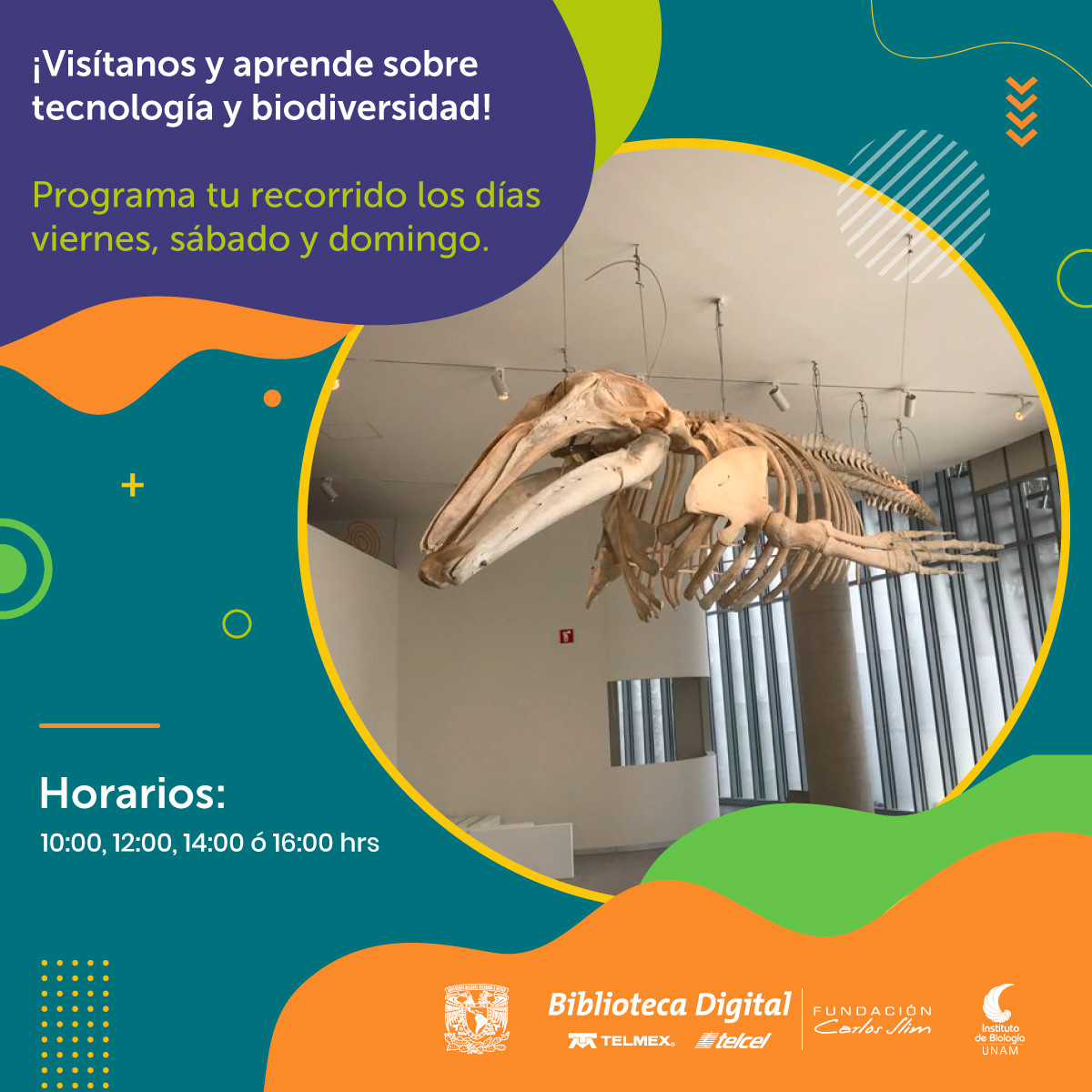 Fund_CarlosSlim's tweet photo. El Pabellón Nacional de la Biodiversidad abre sus puertas los días viernes, sábado y domingo con recorridos guiados en distintos horarios.
#Pabio #UNAM #CCU https://t.co/TthOUphjvX https://t.co/kIDPrHTSrJ