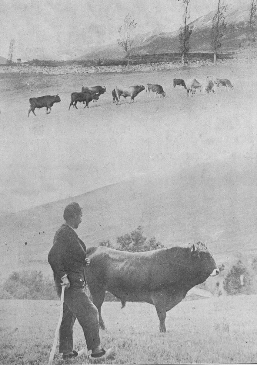 Abiada
📸 Samot
1929