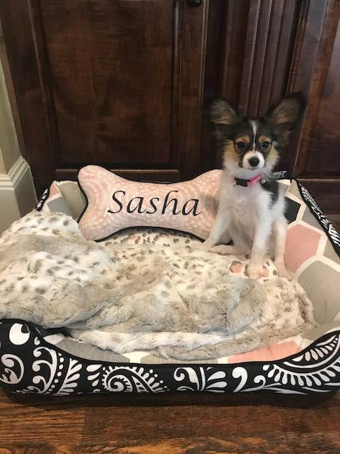 jadorepetbeds's tweet photo. Our designer Bone Pillows make the perfect addition to your pet’s bedding and come with your choice of 3 fabrics so they can coordinate with their style perfectly. Includes free shipping in the continental US! Shop Now: https://t.co/3oLMScnjPr https://t.co/dqw5CfxFph