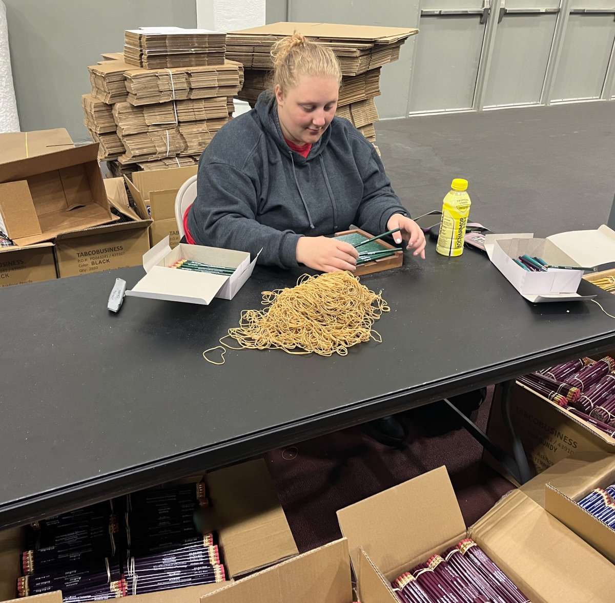 RHIT_AskRose's tweet photo. AskRose’s pencil operation is underway!! 🐘✏️

#askrose #homework #help #pencils #comingsoon https://t.co/Ezzq5wrIiE