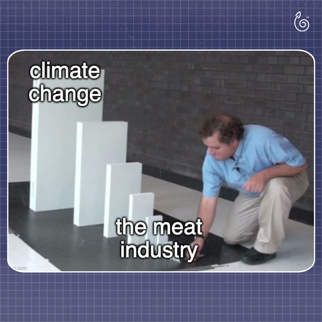 plant_futures's tweet photo. "Livestock are one of the most significant contributors to today’s most serious environmental problems. Urgent action is required to remedy the situation."
- Henning Steinfeld, Chief of FAO’s Livestock Information and Policy Branch
#climatechange #climatecrisis #saveearth https://t.co/g20GAY6UBy