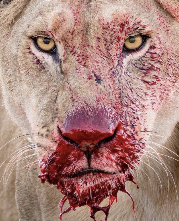 DRIP (@dript3r) on Twitter photo 