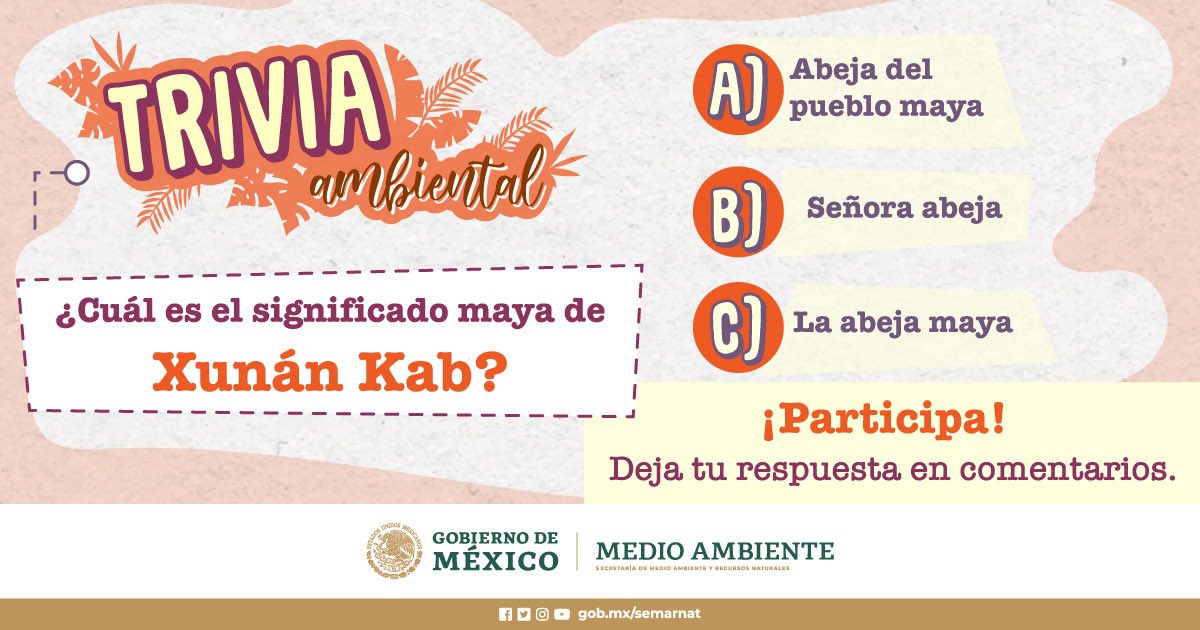 SEMARNAT_mx's tweet photo. #TriviaSemarnat
📌¿Sabes cuál es el significado maya de #XunánKab? 🐝🍯
¡Participa! 👇🏽
Deja tu respuesta en comentarios.
¡Espera la respuesta esta noche! https://t.co/Yspbg8AAPP