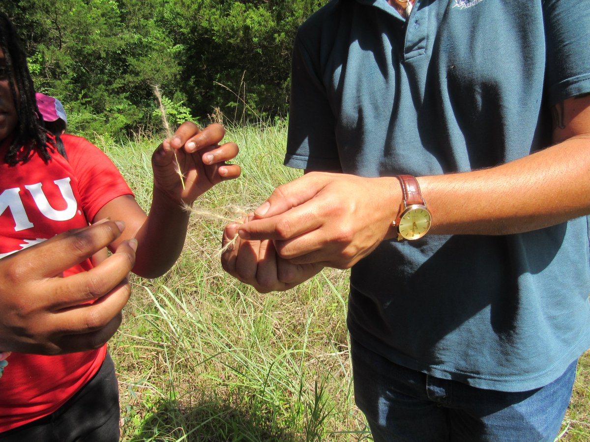 SMU Lyle CIEE tweet media