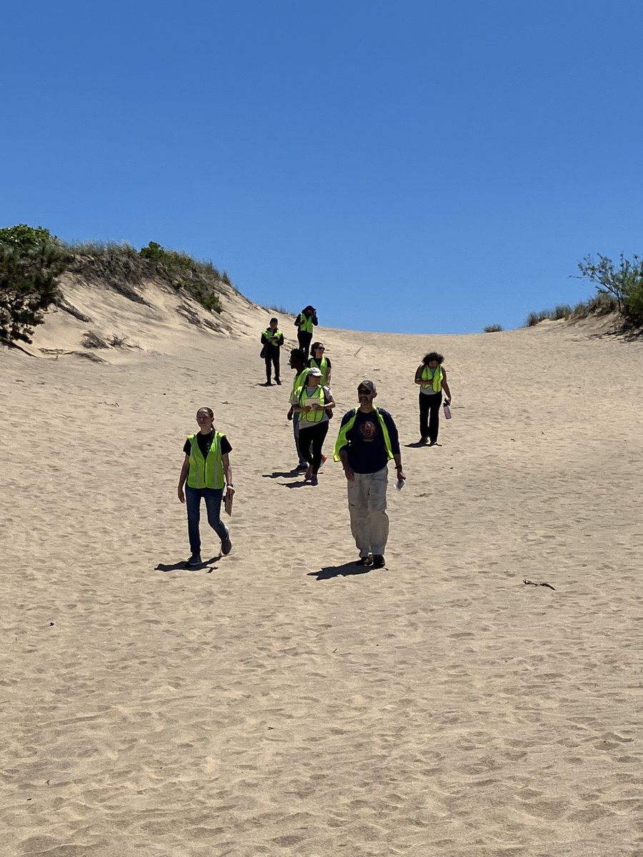 Amy Cook tweet media