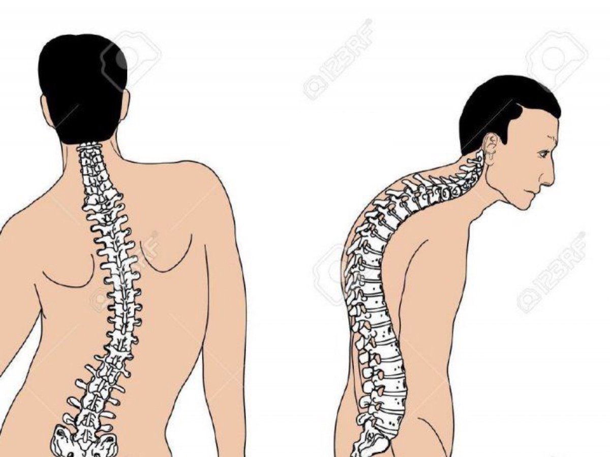 *Me encantan tus curvas*
Mis curvas: