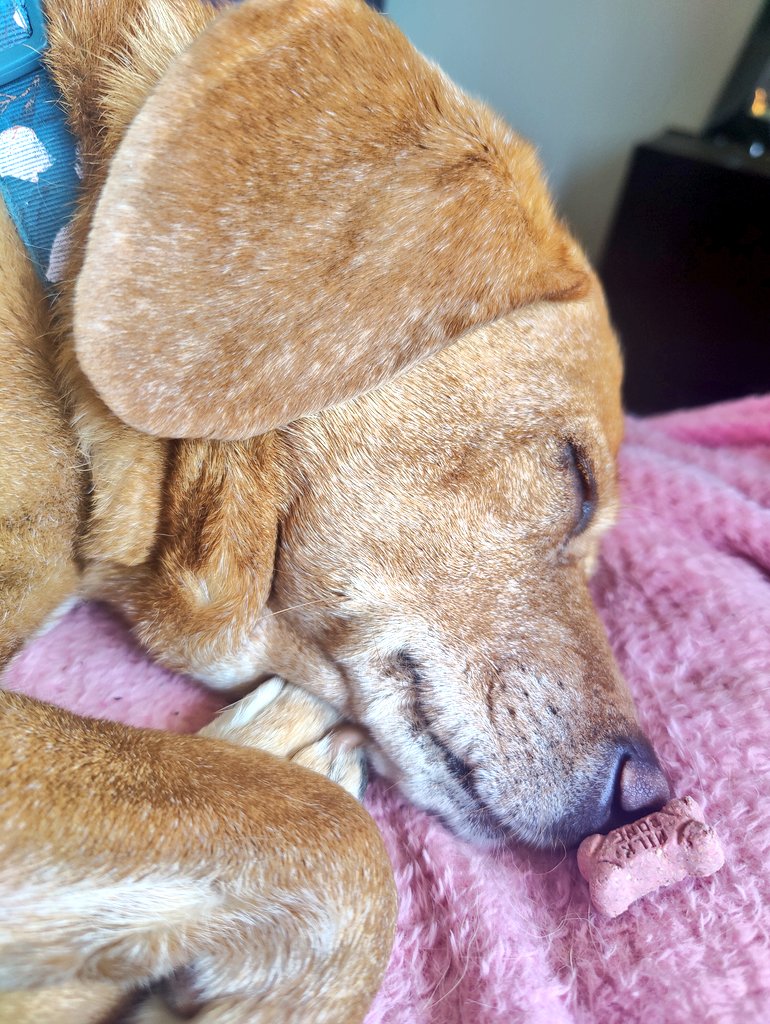 I'm in for a tummy surprise when I wake up from afternoon naps