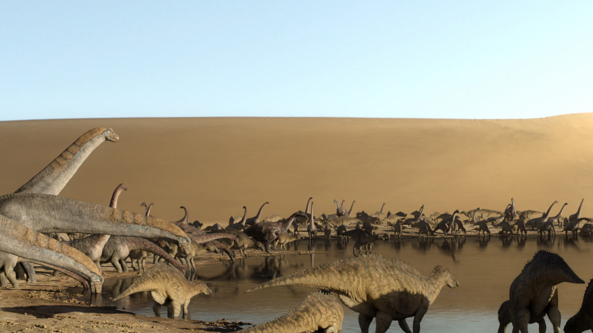 HansZimmer's tweet image. Forests. Ice Worlds. Freshwater. Deserts. Coasts. Which #PrehistoricPlanet was your favorite? 🦖🦕

The soundtrack for the show is now available, too! Listen at lnk.to/PrehistoricPla….