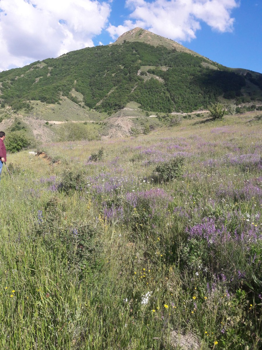 Dünyanın en güzek köyü