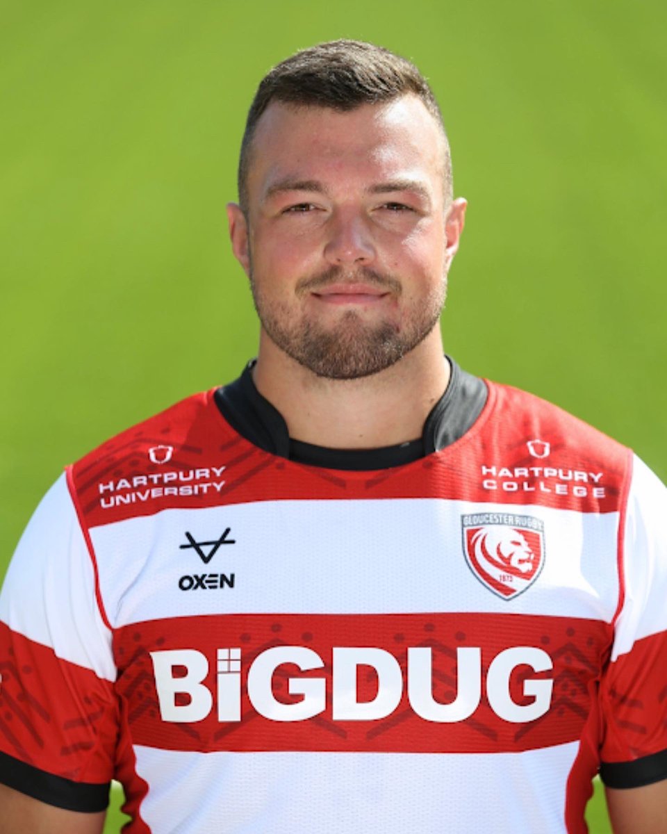 Wild Hogs Hedgehogs Rescue tweet media