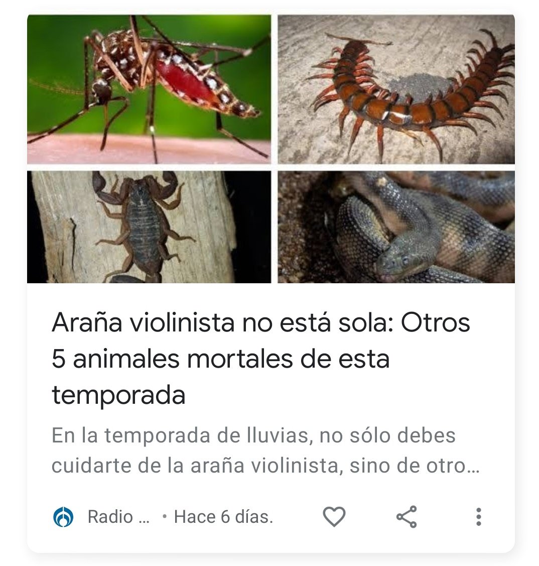 fuentecitauwu's tweet photo. Nos vamos a morir😭 https://t.co/ysaEJvlJzk