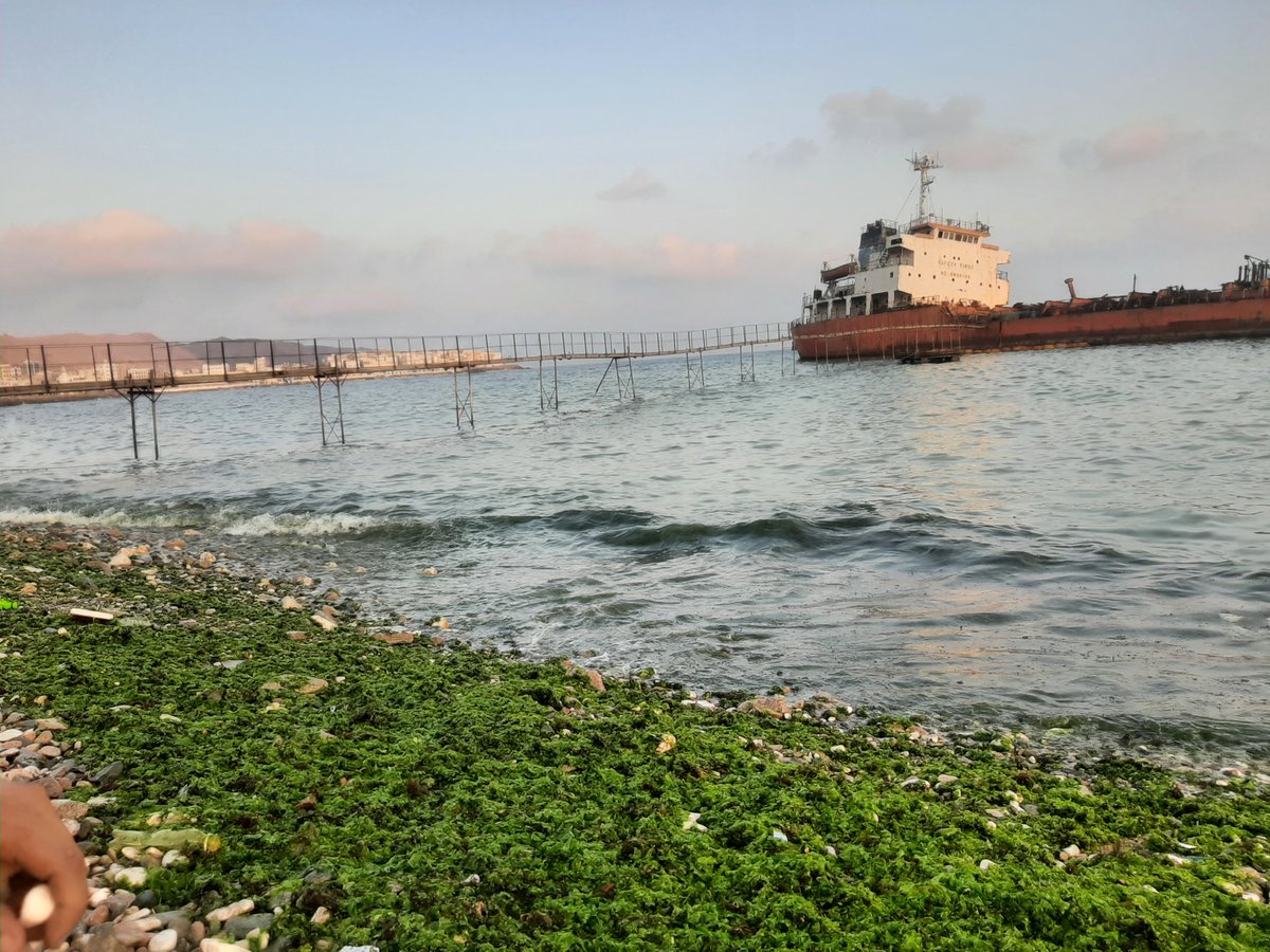 وكل رجائي يا الله.. أن يكون مُنتهى الطريق فيه جبرٌ لقلبي♥️