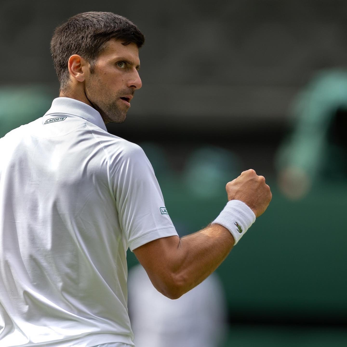 Novak djokovic twitter deals