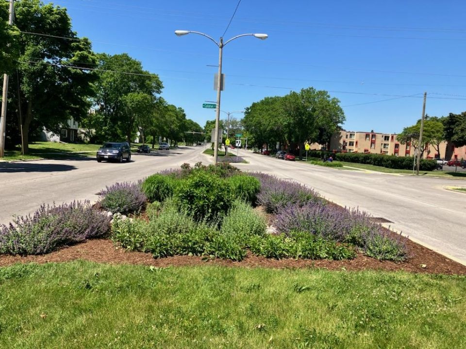 walnut_way's tweet photo. Check out the beautiful maintenance work by our #BlueSkies team at the Highland bioswales and mulch last week.
#walnutway #blueskieslandscaping #environmentalstewardship https://t.co/VUwn0UstYu