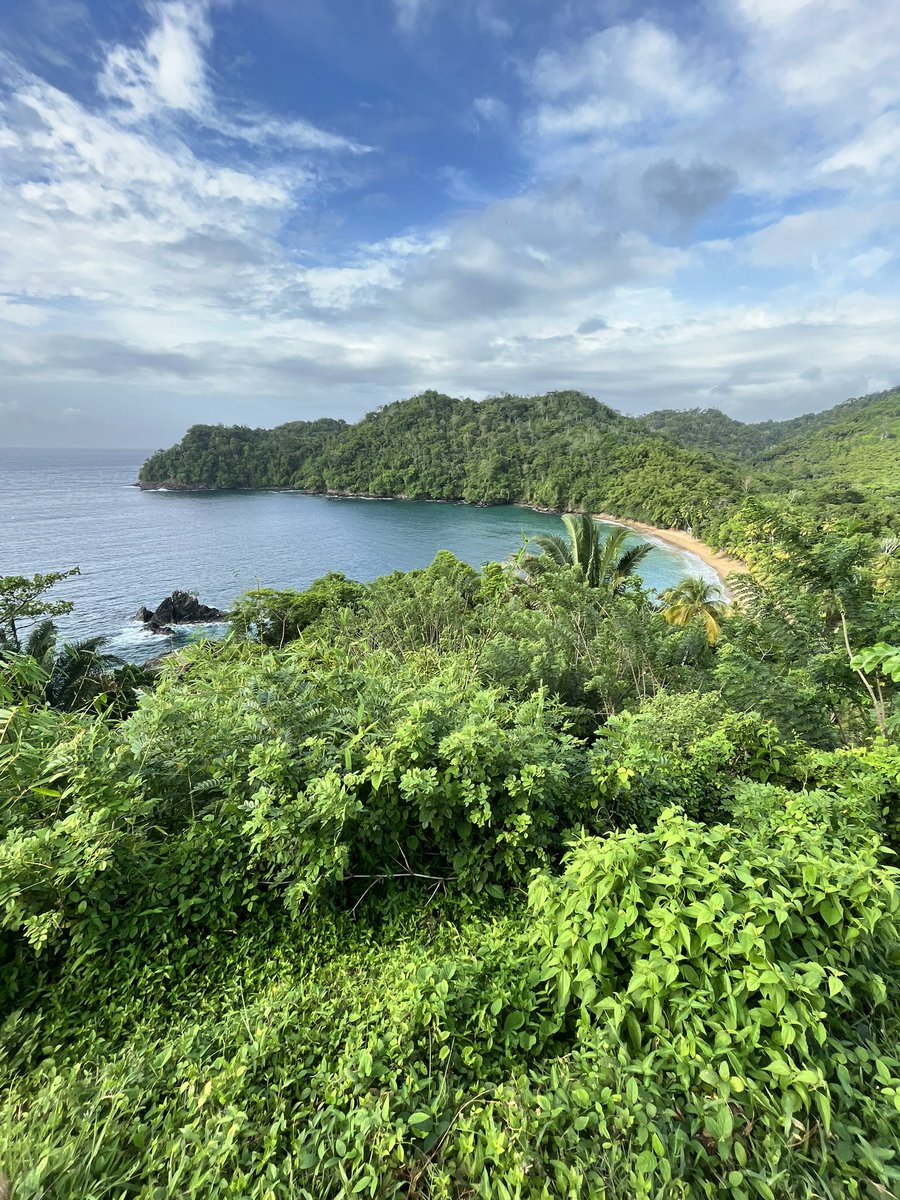 Sarah Perkins (@perkinsparasite) on Twitter photo Hummingbirds, trapdoor spiders, mountain crabs, fuscous flycatcher (sorry birders), nibbled by jumping guabines - just some of the highlights on a rainforest trek on the <a href="/CUBiosciences/">Cardiff University School of Biosciences</a> Tobago field course. Thanks to Zolani for being an excellent guide #zolanibirding Hummingbirds, trapdoor spiders, mountain crabs, fuscous flycatcher (sorry birders), nibbled by jumping guabines - just some of the highlights on a rainforest trek on the <a href="/CUBiosciences/">Cardiff University School of Biosciences</a> Tobago field course. Thanks to Zolani for being an excellent guide #zolanibirding