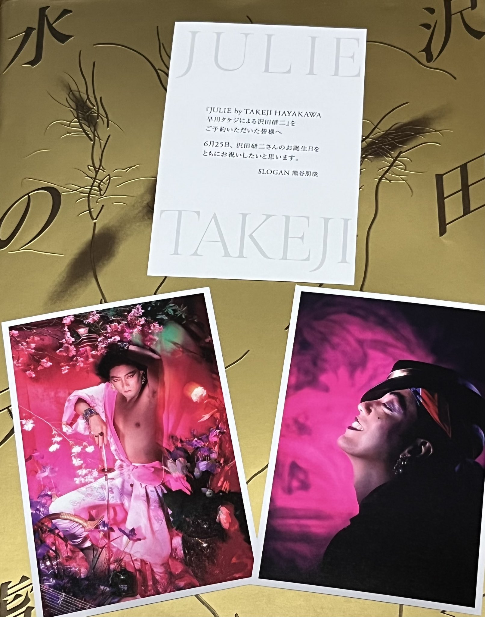 早川タケジ作品集 JULIE by TAKEJI HAYAKAWA 早川タケジによる沢田研二 早川タケジ作品集 JULIE by TAKEJI HAYAKAWA 早川タケジによる沢田研二