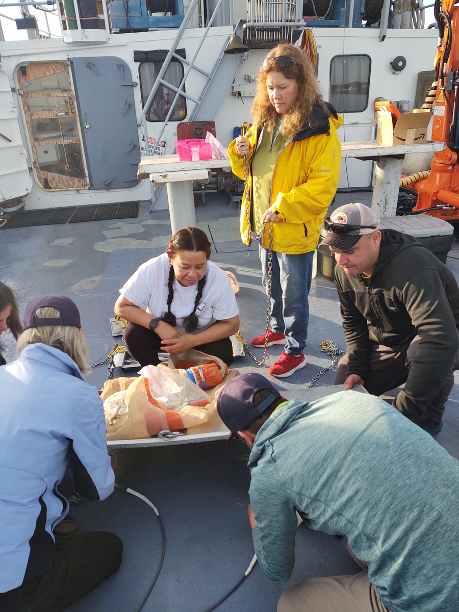 Superior Science Workshop - Day 3! Monitoring water quality and looking for microplastics in the sediment and in the water column! <a href="/MNSeaGrant/">Minnesota Sea Grant | MNSG</a>