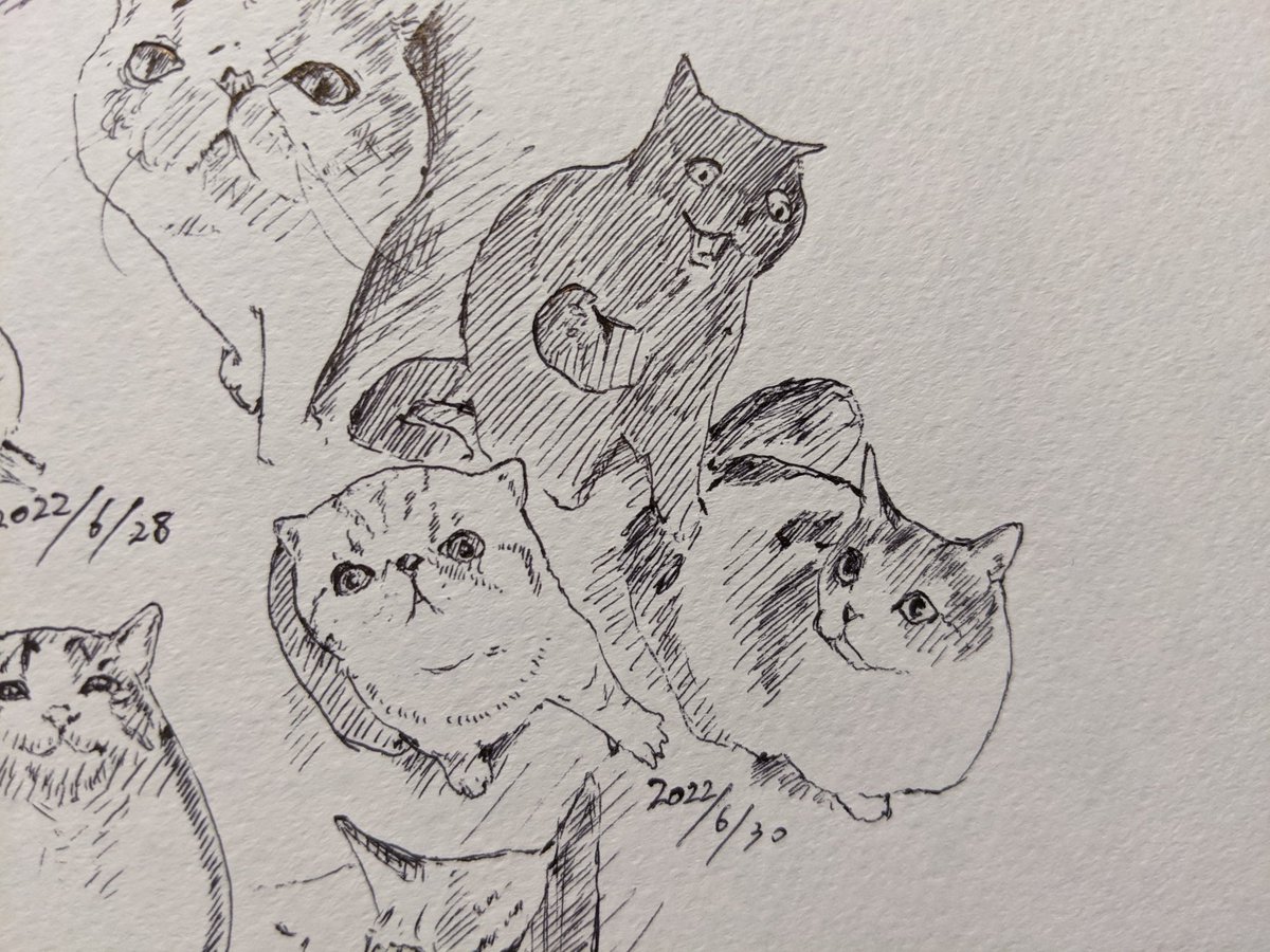 土地のせいにするな 要は人だ(蒼天航路より) カキカキ。 