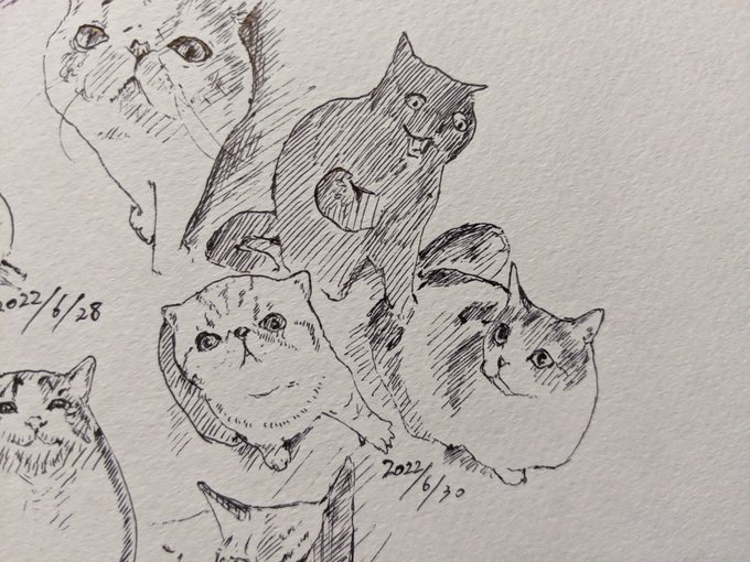 土地のせいにするな 要は人だ(蒼天航路より) カキカキ。 