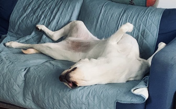 @oisin@mastodon.ie tweet media