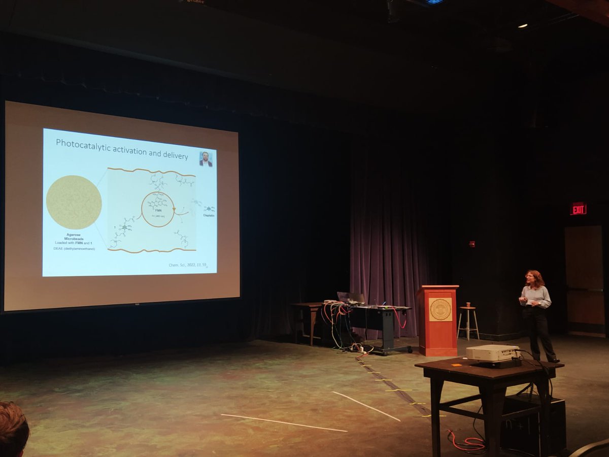 DELCAT15's tweet photo. I’m thrilled to share that I had the opportunity to present our work in the #GRC Metals in Medicine!! 

@Mariecurie_alum https://t.co/QrJ79Y5XIl