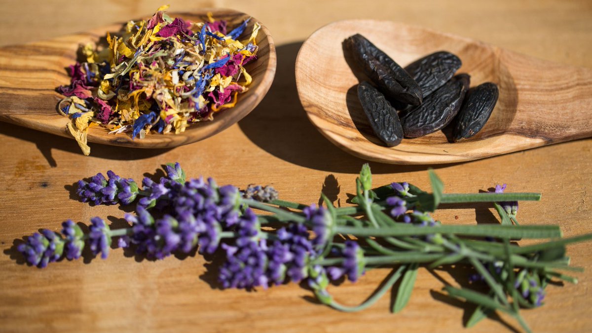 scentforgood's tweet photo. #TonkaBean smells warm, sweet &amp; powdery. Its aroma is reminiscent of a deep warm vanilla.🤎

The dark and sensual aroma is famous for its aphrodisiac properties and used in many well known perfumes.

As an essential oil, the scent is used to calm &amp; relax our minds.☺️
#scentseries https://t.co/EAJLhv7t1I