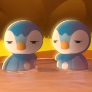 Screaming Seagull tweet media