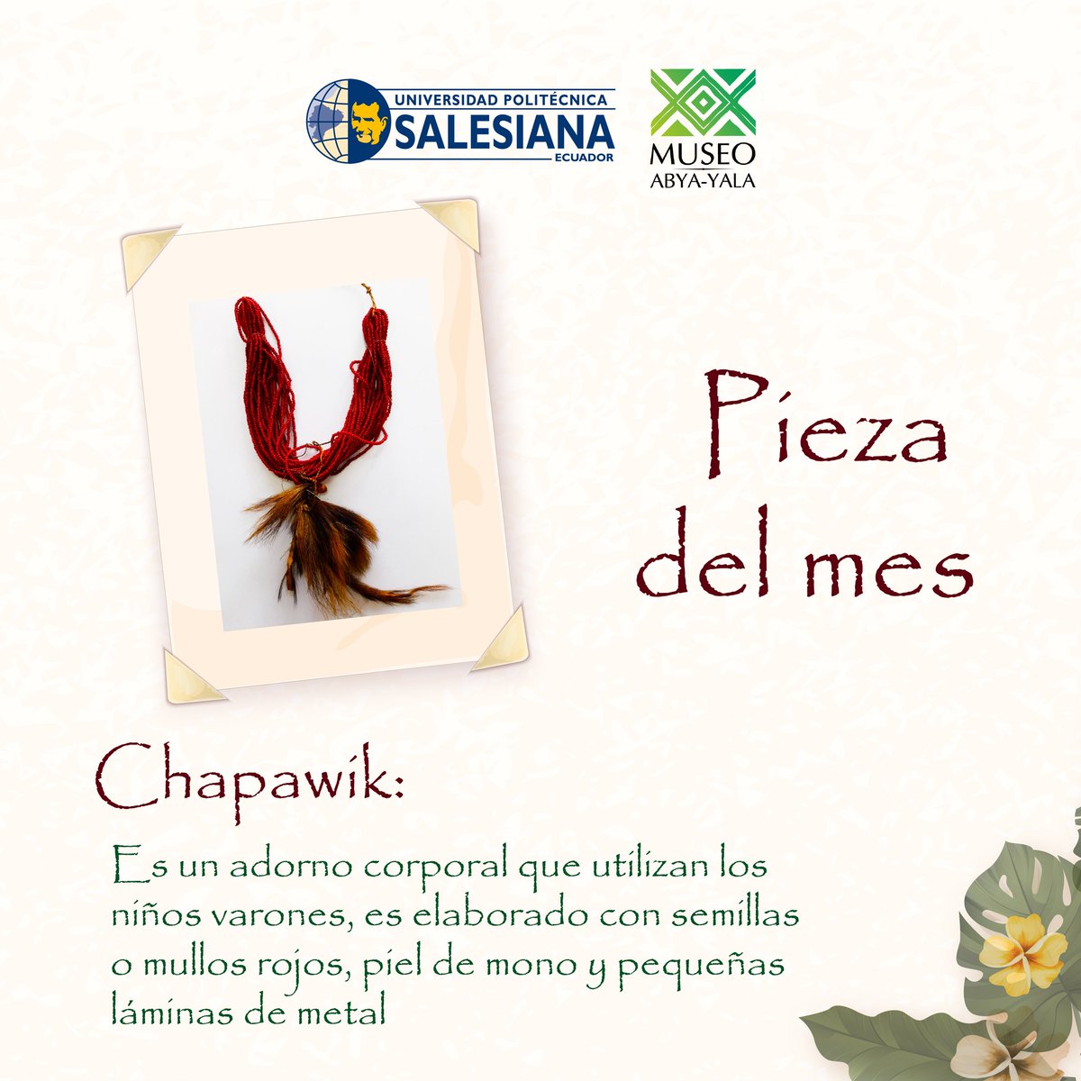 El Chapawik un collar con semillas rojas y piel de mono simbolizando la inquietud por aprender de los niños
 #upsalesiana #Culturales #DiaDelNino